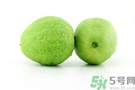 番石榴是熱性還是涼性？番石榴是涼性的嗎？