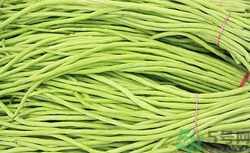 豇豆可以放冰箱嗎?豇豆保存方法 豇豆可以放冰箱嗎?豇豆保存方法