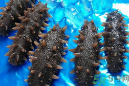 海參可以天天吃嗎?海參能每天吃嗎? 海參可以天天吃嗎?海參能每天吃嗎?