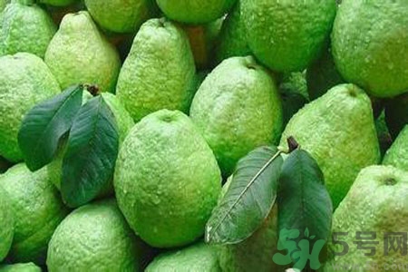 吃番石榴可以減肥嗎？怎么吃番石榴可以減肥？