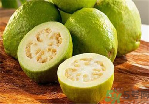 番石榴是發(fā)物嗎？番石榴是不是發(fā)物？