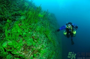 經(jīng)期可以潛水嗎？來例假可以潛水嗎？