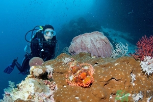 經(jīng)期可以潛水嗎？來(lái)例假可以潛水嗎？