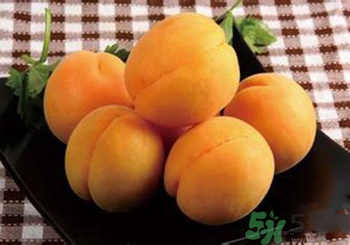 杏子是熱性還是涼性？杏子是涼性的嗎？