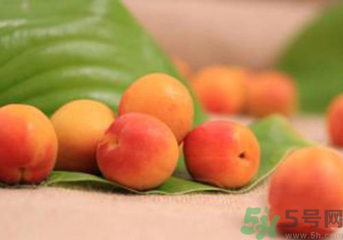 杏子是熱性還是涼性？杏子是涼性的嗎？