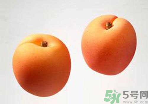 杏子是酸性還是堿性？杏子是酸性的嗎？