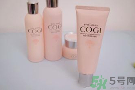 高姿大白水多少錢？高姿大白水適合什么年齡？