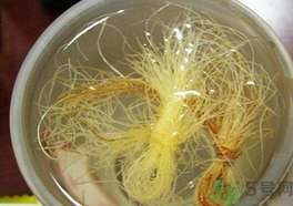 玉米須可以泡水喝嗎?玉米須泡水喝的功效 玉米須可以泡水喝嗎?玉米須泡水喝的功效