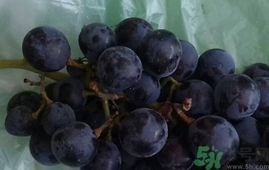 葡萄上有白點能吃嗎?葡萄上有白點可以吃嗎? 葡萄上有白點能吃嗎?葡萄上有白點可以吃嗎?