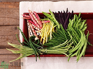 痛風能吃豆角嗎？痛風吃豆角行嗎？