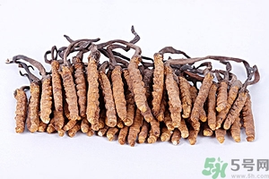 冬蟲(chóng)夏草真假怎么鑒別？冬蟲(chóng)夏草怎么吃效果最好？