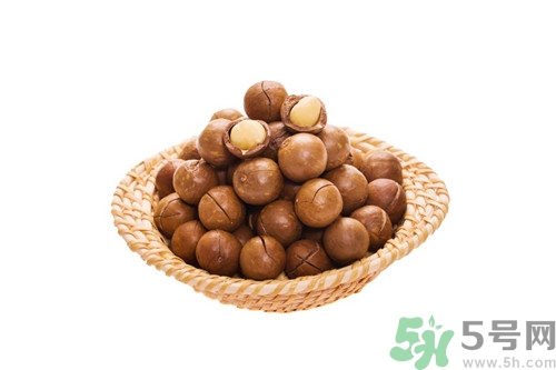 夏威夷果補(bǔ)腎嗎?夏威夷果補(bǔ)腎壯陽嗎