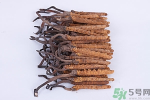 冬蟲(chóng)夏草真假怎么鑒別？冬蟲(chóng)夏草怎么吃效果最好？