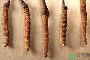 冬蟲(chóng)夏草真假怎么鑒別？冬蟲(chóng)夏草怎么吃效果最好？