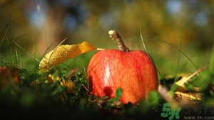 掉地上3秒東西能吃嗎？掉地上東西要不要撿起來(lái)吃？