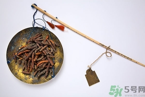 冬蟲(chóng)夏草真假怎么鑒別？冬蟲(chóng)夏草怎么吃效果最好？