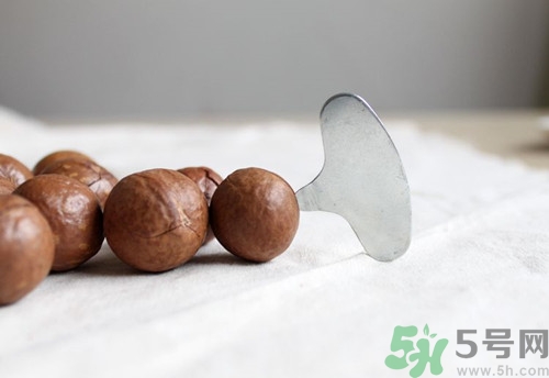 夏威夷果是酸性還是堿性?涼性還是熱性 夏威夷果是酸性還是堿性?涼性還是熱性