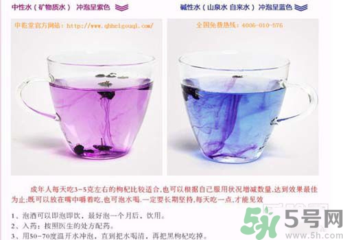 黑枸杞怎么辨別真假？怎么挑選黑枸杞？