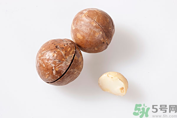 夏威夷果什么時候成熟上市？腰果和夏威夷果的區(qū)別