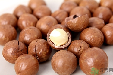 夏威夷果沒有開果器怎么開殼？夏威夷果縫怎么來的？