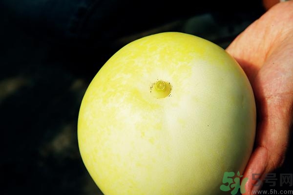 香瓜有酒味能吃嗎？香瓜有酒味吃了會怎樣？