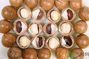 夏威夷果產(chǎn)地在哪里？夏威夷果為什么有奶香？