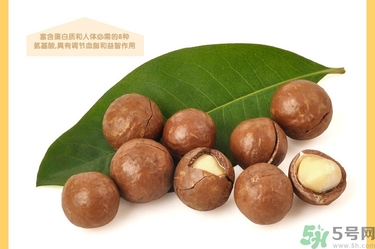 夏威夷果肉黏殼怎么辦？夏威夷果能放多久？