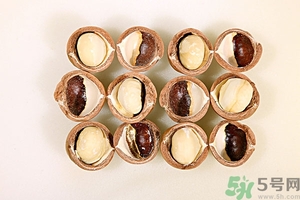 夏威夷果什么時候成熟上市？腰果和夏威夷果的區(qū)別