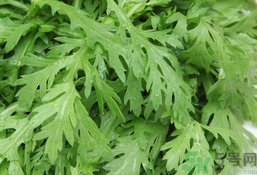 茼蒿可以生吃嗎?茼蒿能生吃嗎? 茼蒿可以生吃嗎?茼蒿能生吃嗎?