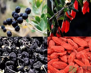 黑枸杞和紅枸杞有什么區(qū)別？黑枸杞和紅枸杞哪個好？