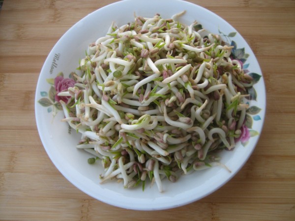 豆芽可以炒肉嗎?豆芽炒肉的做法 豆芽可以炒肉嗎?豆芽炒肉的做法