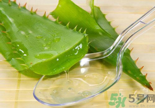 蘆薈膠要洗臉嗎？用完蘆薈膠要不要洗臉？