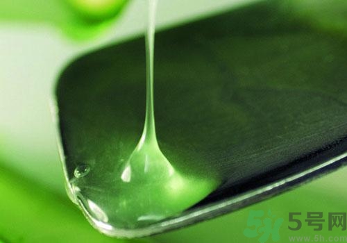 蘆薈膠要洗臉嗎？用完蘆薈膠要不要洗臉？