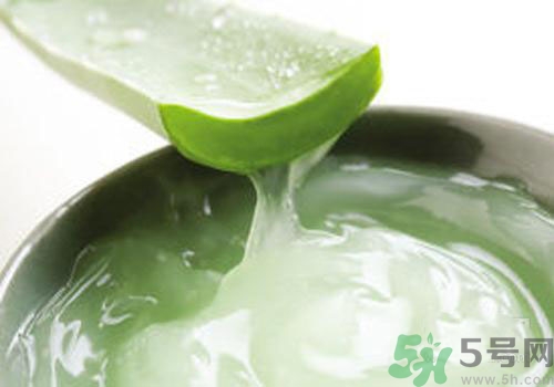 蘆薈膠可以天天用嗎？蘆薈膠天天用好不好？