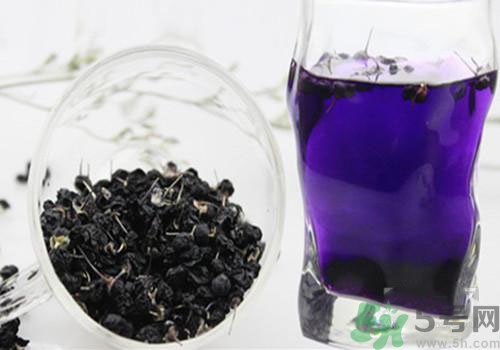 黑枸杞能用開水泡嗎？黑枸杞的沖泡方法