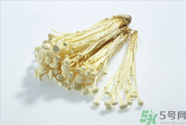 致癌金針菇怎么鑒別？如何選購金針菇？