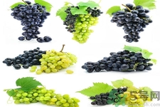 葡萄種植的基本流程？葡萄種植的方法？