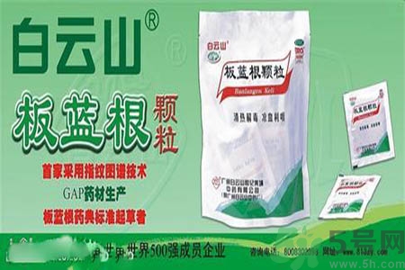 感冒了吃板藍(lán)根有效嗎？感冒了吃板藍(lán)根有用嗎？