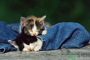 睡眠不規(guī)律如何調整？睡眠不規(guī)律會胖嗎？