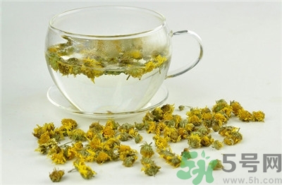 野菊花可以泡茶喝嗎?野菊花泡茶喝有什么好處? 野菊花可以泡茶喝嗎?野菊花泡茶喝有什么好處?