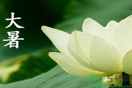 大暑是入伏嗎？大暑是最熱的時候嗎？