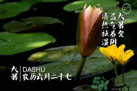 大暑吃什么養(yǎng)生？大暑吃什么好？