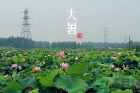 大暑吃什么養(yǎng)生？大暑吃什么好？