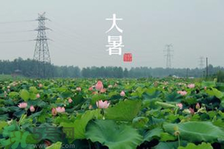 大暑吃什么水果？大暑吃什么水果養(yǎng)生？