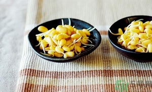 黃豆芽能涼拌嗎？涼拌黃豆芽的家常做法