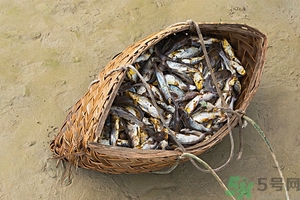 洪水里的魚能吃嗎？洪水里的魚可不可以吃？