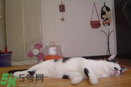 夏天睡涼席好嗎？夏天睡涼席好不好？