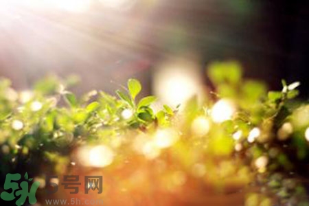 三伏天什么時(shí)候結(jié)束？三伏天是哪幾天？