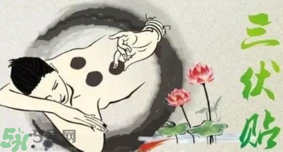 三伏貼的印子怎么去掉？三伏貼的印記多久才會消失？