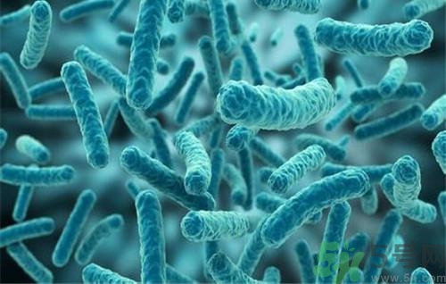 裂谷熱病怎么治？裂谷熱病的癥狀有哪些？